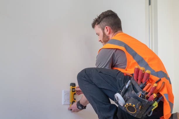 Best Electric Panel Repair  in Chester, SC